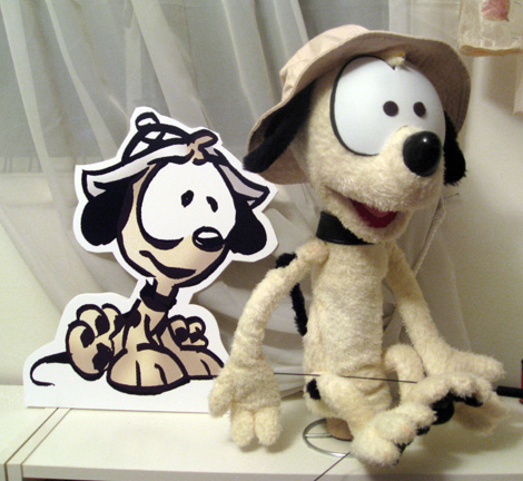 Sam2011.jpg
